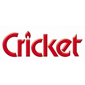 ACCENDINI CRICKET