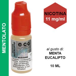 E-CG BLIZZARD NIC 11